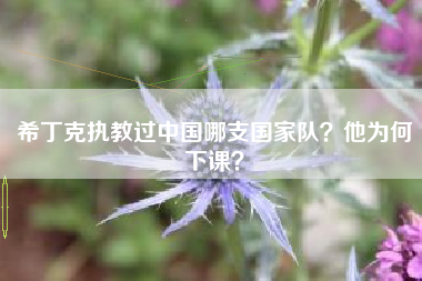 希丁克执教过中国哪支国家队？他为何下课？