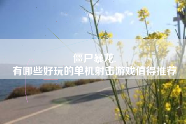 僵尸暴龙,
有哪些好玩的单机射击游戏值得推荐