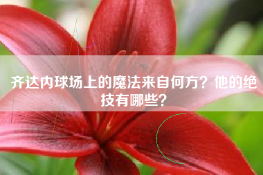 齐达内球场上的魔法来自何方？他的绝技有哪些？
