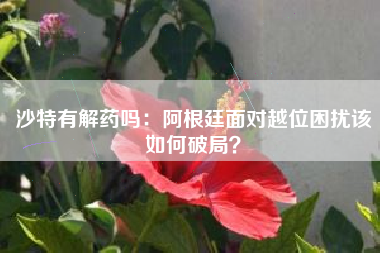 沙特有解药吗：阿根廷面对越位困扰该如何破局？