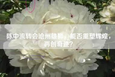 陈中流转会沧州雄狮，能否重塑辉煌，再创奇迹？