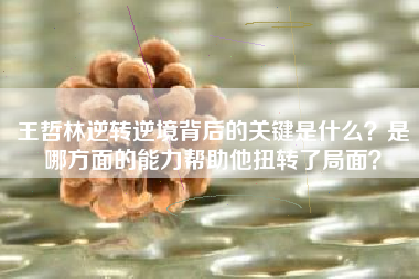 王哲林逆转逆境背后的关键是什么？是哪方面的能力帮助他扭转了局面？