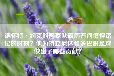 德怀特·约克的国家队履历有何值得铭记的时刻？他为特立尼达和多巴哥足球做出了哪些贡献？