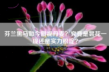 芬兰黑马如今傲视丹麦？究竟是昙花一现还是实力积淀？