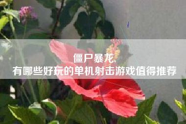 僵尸暴龙,
有哪些好玩的单机射击游戏值得推荐