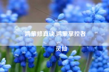 鸿蒙修真诀,鸿蒙掌控者
灵仙 鸿蒙修真诀,鸿蒙掌控者
灵仙