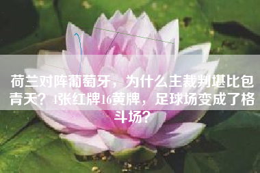 荷兰对阵葡萄牙，为什么主裁判堪比包青天？4张红牌16黄牌，足球场变成了格斗场？