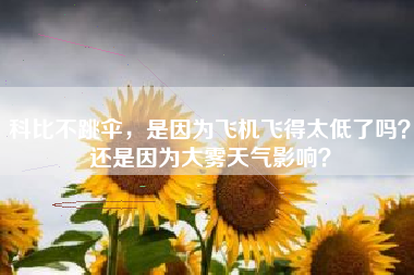 科比不跳伞，是因为飞机飞得太低了吗？还是因为大雾天气影响？
