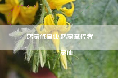 鸿蒙修真诀,鸿蒙掌控者
灵仙 鸿蒙修真诀,鸿蒙掌控者
灵仙