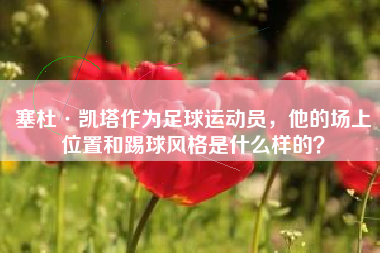 塞杜·凯塔作为足球运动员，他的场上位置和踢球风格是什么样的？