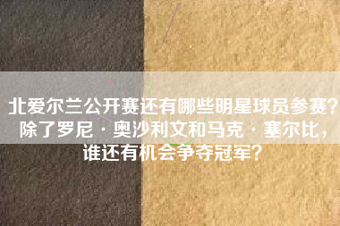 北爱尔兰公开赛还有哪些明星球员参赛?除了罗尼·奥沙利文和马克·塞尔比,谁还有机会争夺冠军?