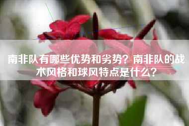 南非队有哪些优势和劣势？南非队的战术风格和球风特点是什么？