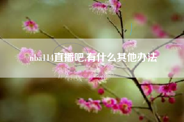 nba114直播吧,有什么其他办法
