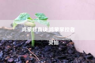 鸿蒙修真诀,鸿蒙掌控者
灵仙 鸿蒙修真诀,鸿蒙掌控者
灵仙