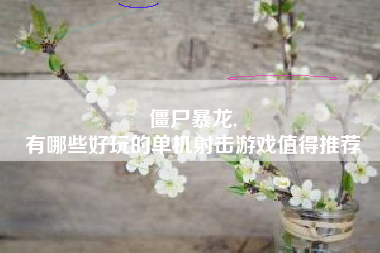 僵尸暴龙,
有哪些好玩的单机射击游戏值得推荐