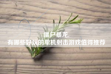 僵尸暴龙,
有哪些好玩的单机射击游戏值得推荐