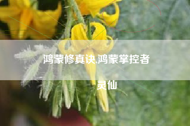 鸿蒙修真诀,鸿蒙掌控者
灵仙 鸿蒙修真诀,鸿蒙掌控者
灵仙