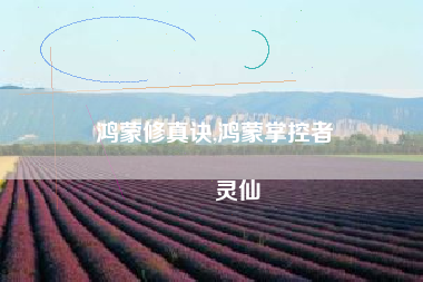 鸿蒙修真诀,鸿蒙掌控者
灵仙 鸿蒙修真诀,鸿蒙掌控者
灵仙