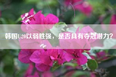 韩国U20以弱胜强，是否具有夺冠潜力？