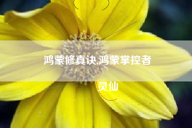 鸿蒙修真诀,鸿蒙掌控者
灵仙 鸿蒙修真诀,鸿蒙掌控者
灵仙