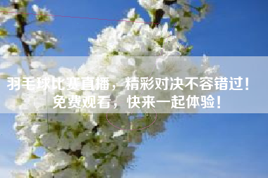 羽毛球比赛直播，精彩对决不容错过！  免费观看，快来一起体验！