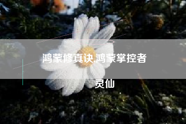 鸿蒙修真诀,鸿蒙掌控者
灵仙 鸿蒙修真诀,鸿蒙掌控者
灵仙