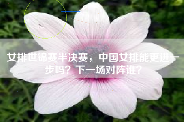 女排世锦赛半决赛，中国女排能更进一步吗？下一场对阵谁？