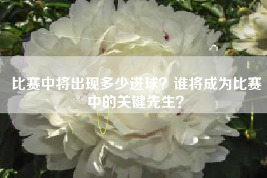 比赛中将出现多少进球？谁将成为比赛中的关键先生？