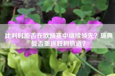 比利时能否在欧预赛中继续领先？瑞典能否重返胜利轨道？