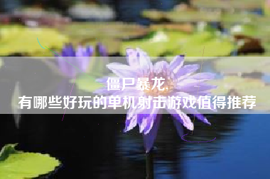 僵尸暴龙,
有哪些好玩的单机射击游戏值得推荐