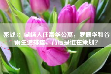 密战3：蝴蝶入住富华公寓，罗振华和谷雨生遭排查，背后是谁在策划？