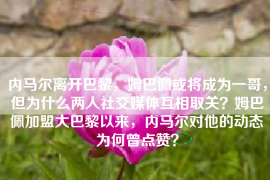内马尔离开巴黎，姆巴佩或将成为一哥，但为什么两人社交媒体互相取关？姆巴佩加盟大巴黎以来，内马尔对他的动态为何曾点赞？