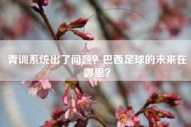 青训系统出了问题？巴西足球的未来在哪里？