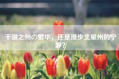 千湖之州の繁华，还是漫步北星州的宁静？