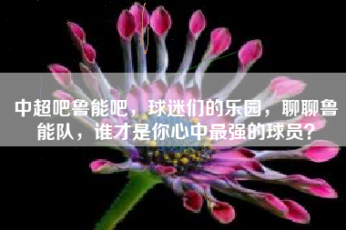中超吧鲁能吧，球迷们的乐园，聊聊鲁能队，谁才是你心中最强的球员？