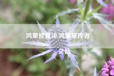 鸿蒙修真诀,鸿蒙掌控者
灵仙 鸿蒙修真诀,鸿蒙掌控者
灵仙