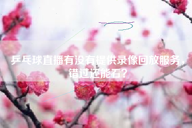 乒乓球直播有没有提供录像回放服务，错过还能看？