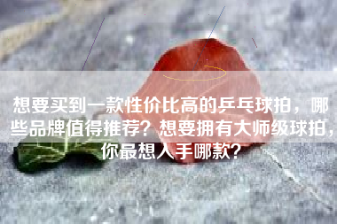 想要买到一款性价比高的乒乓球拍，哪些品牌值得推荐？想要拥有大师级球拍，你最想入手哪款？