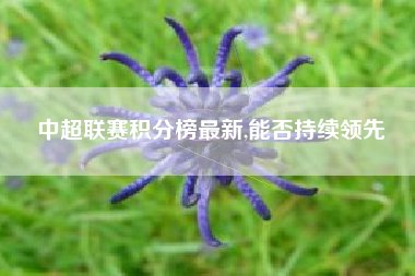 中超联赛积分榜最新,能否持续领先