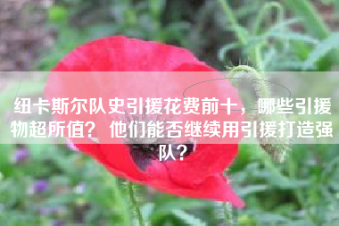 纽卡斯尔队史引援花费前十，哪些引援物超所值？ 他们能否继续用引援打造强队？