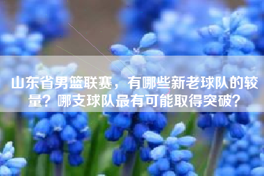 山东省男篮联赛，有哪些新老球队的较量？哪支球队最有可能取得突破？