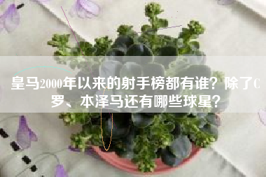 皇马2000年以来的射手榜都有谁？除了C罗、本泽马还有哪些球星？