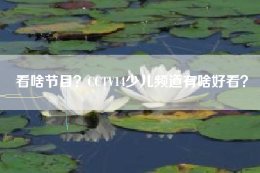 看啥节目？CCTV14少儿频道有啥好看？