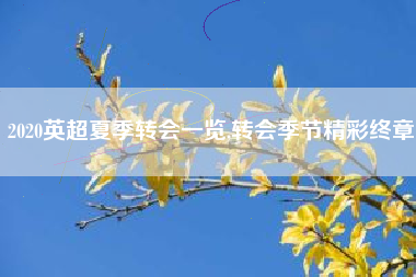 2020英超夏季转会一览,转会季节精彩终章