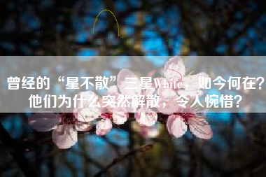 曾经的“星不散”三星White，如今何在？他们为什么突然解散，令人惋惜？