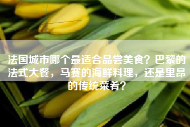 法国城市哪个最适合品尝美食？巴黎的法式大餐，马赛的海鲜料理，还是里昂的传统菜肴？