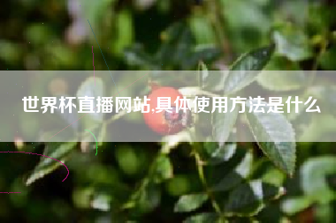 世界杯直播网站,具体使用方法是什么