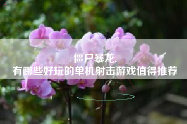 僵尸暴龙,
有哪些好玩的单机射击游戏值得推荐