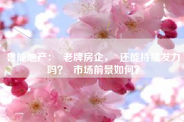 鲁能地产：  老牌房企，  还能持续发力吗？  市场前景如何？