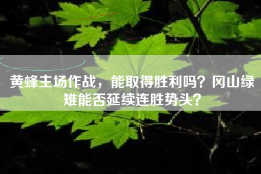 黄蜂主场作战，能取得胜利吗？冈山绿雉能否延续连胜势头？